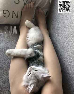 两个小姨子在线_国产剧视频大全