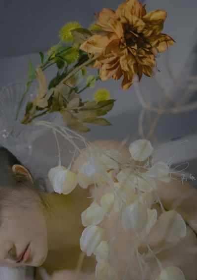 女人与雄性宠物交免费看网站_1080最新电影在线观看