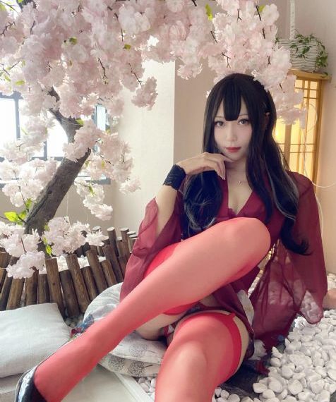 最好看免费观看高清视频大全国语_HDHD在线观看